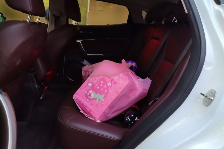 Used Wey VV5 2019 1.5T Two-Wheel Drive Smart Pioneer