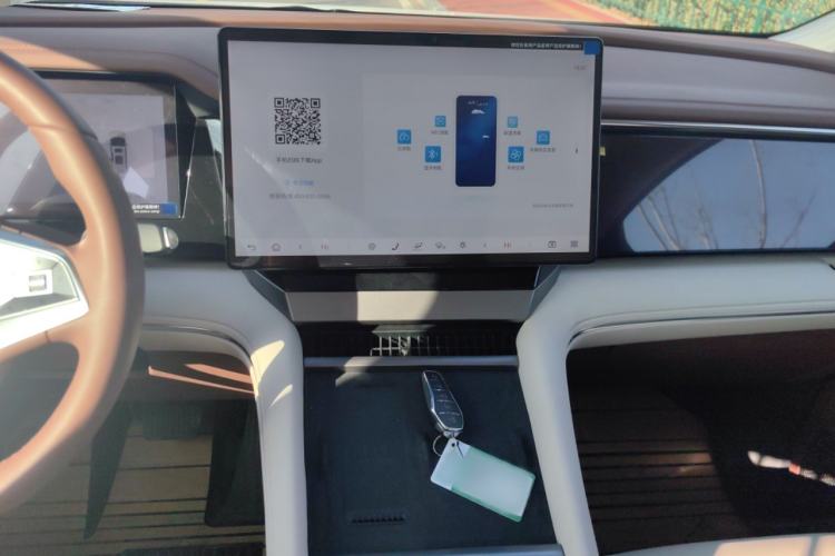 Used BYD Xia 2025 DM-i 1.5T 180km Excellence Model
