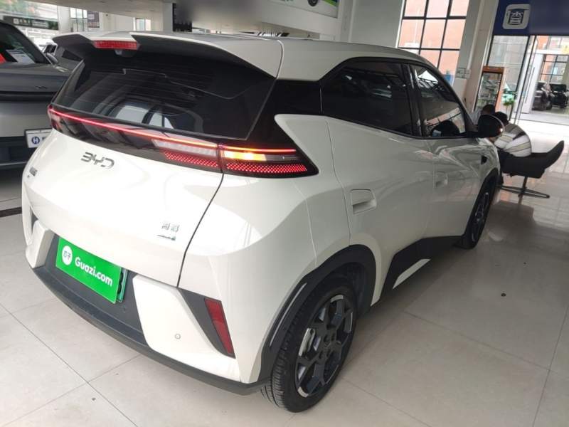 Used BYD Seagull 2025 Smart Drive Version 305 km Freedom Edition — 6