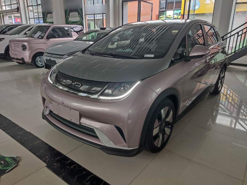 Used BYD Dolphin 2023 401km Knight Edition — 1