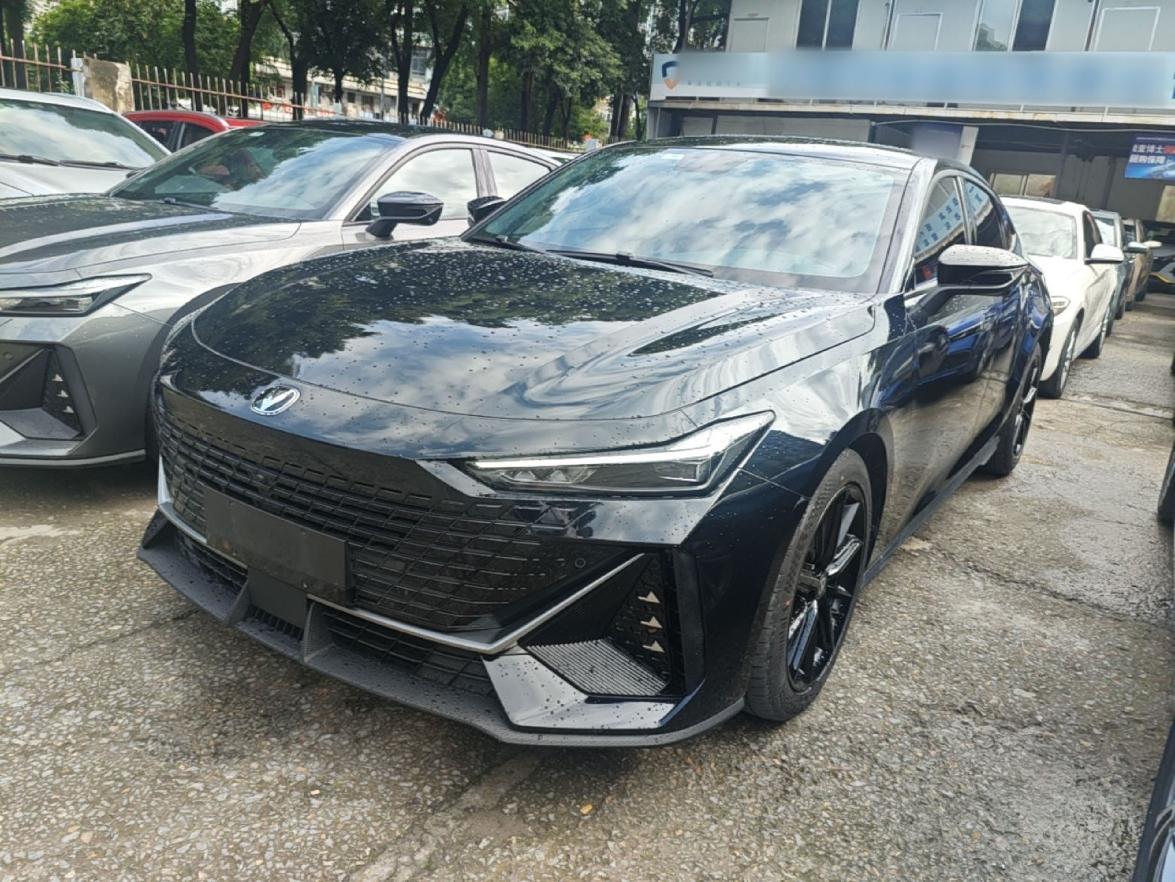 Under Front Bumper