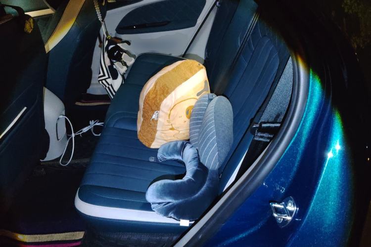 Used ORA Good Cat 2023 401 km Standard Range Premium Version Lithium Iron Phosphate Left Rear Seat