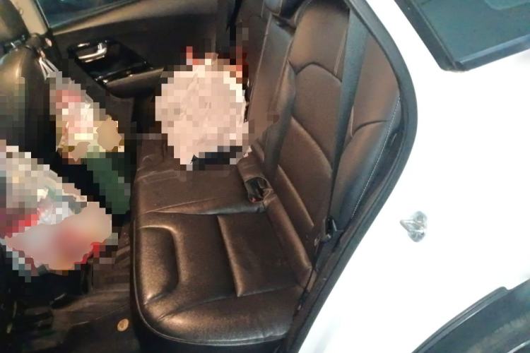 Used Kia Niro 2017 1.6L Luxury Edition