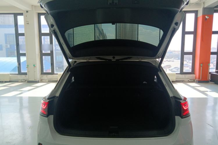 Used Volkswagen T-ROC 2023 300TSI DSG Two-Wheel-Drive Chen Guang Edition
