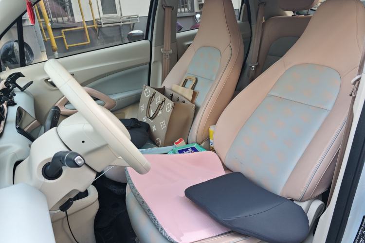 Used Leapmotor T03 2023 403 Lite Edition Left Front Seat