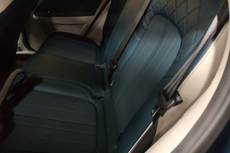 Used ORA Good Cat 2023 501 km Long-Range Luxury Version Lithium Iron Phosphate
