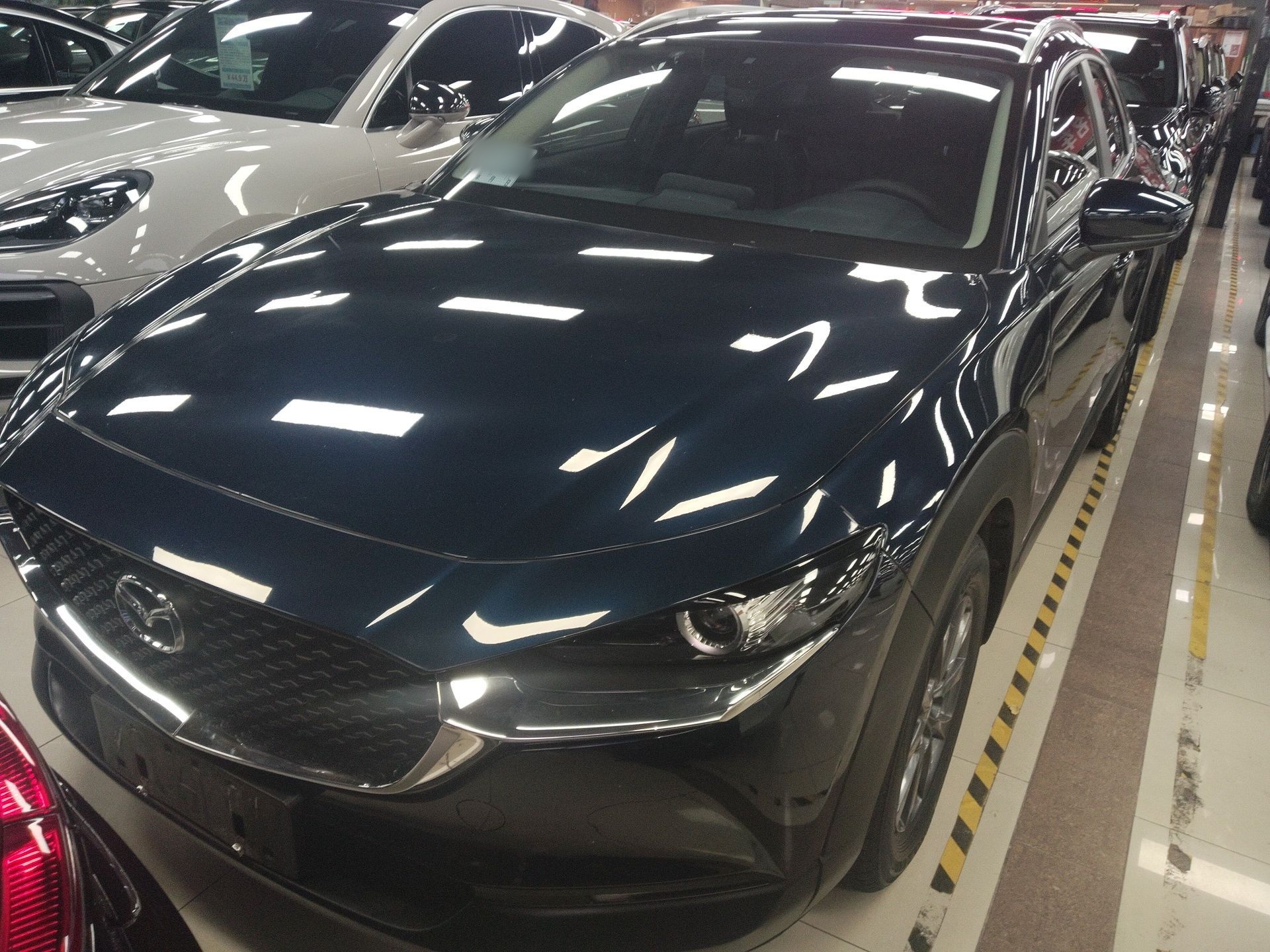 Parte inferior delantera