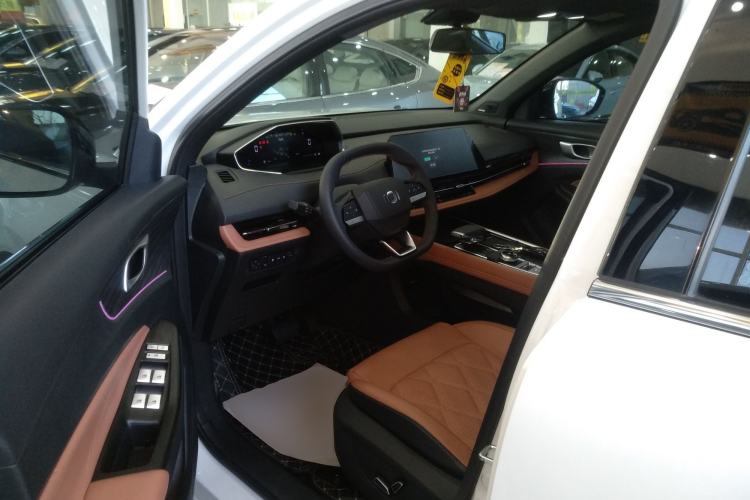 Used Qiyuan Q05 2023 60 Pro