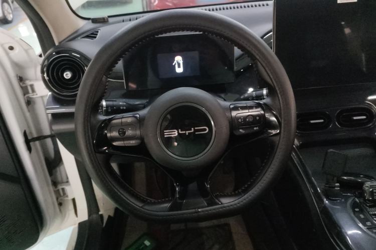 Used BYD e2 2023 Luxury Model