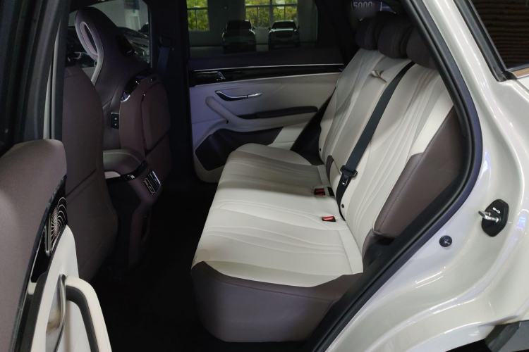 Used BYD Song PLUS New Energy 2025 DM-i 112KM Prestige Model Left Rear Seat