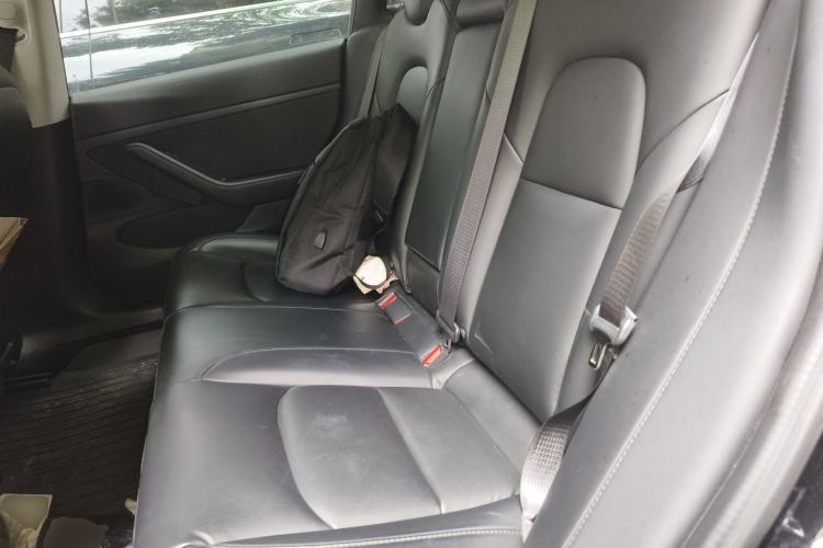 Used Tesla Model 3 2019 Standard Range Rear-Drive Upgraded Version Left Rear Seat