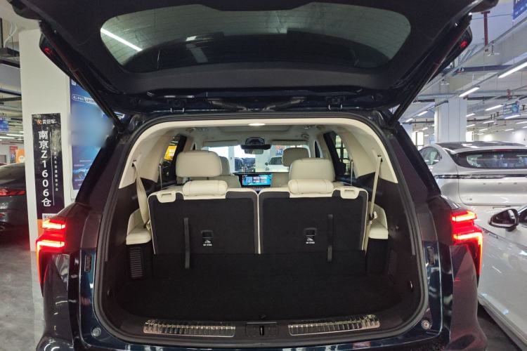 Used Wey Lanshan 2023 Two-Wheel Drive Long-Range Version