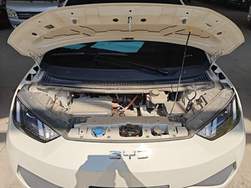 Used BYD Seagull 2025 Intelligent Driving Version 305 km Dynamic Edition — 19