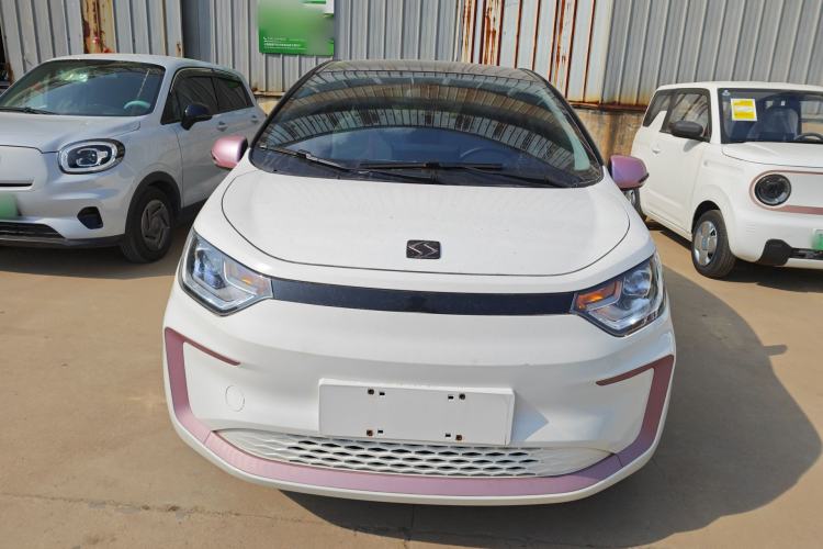 Used SOL E10X 2022 Flower Fairy Design Sunflower