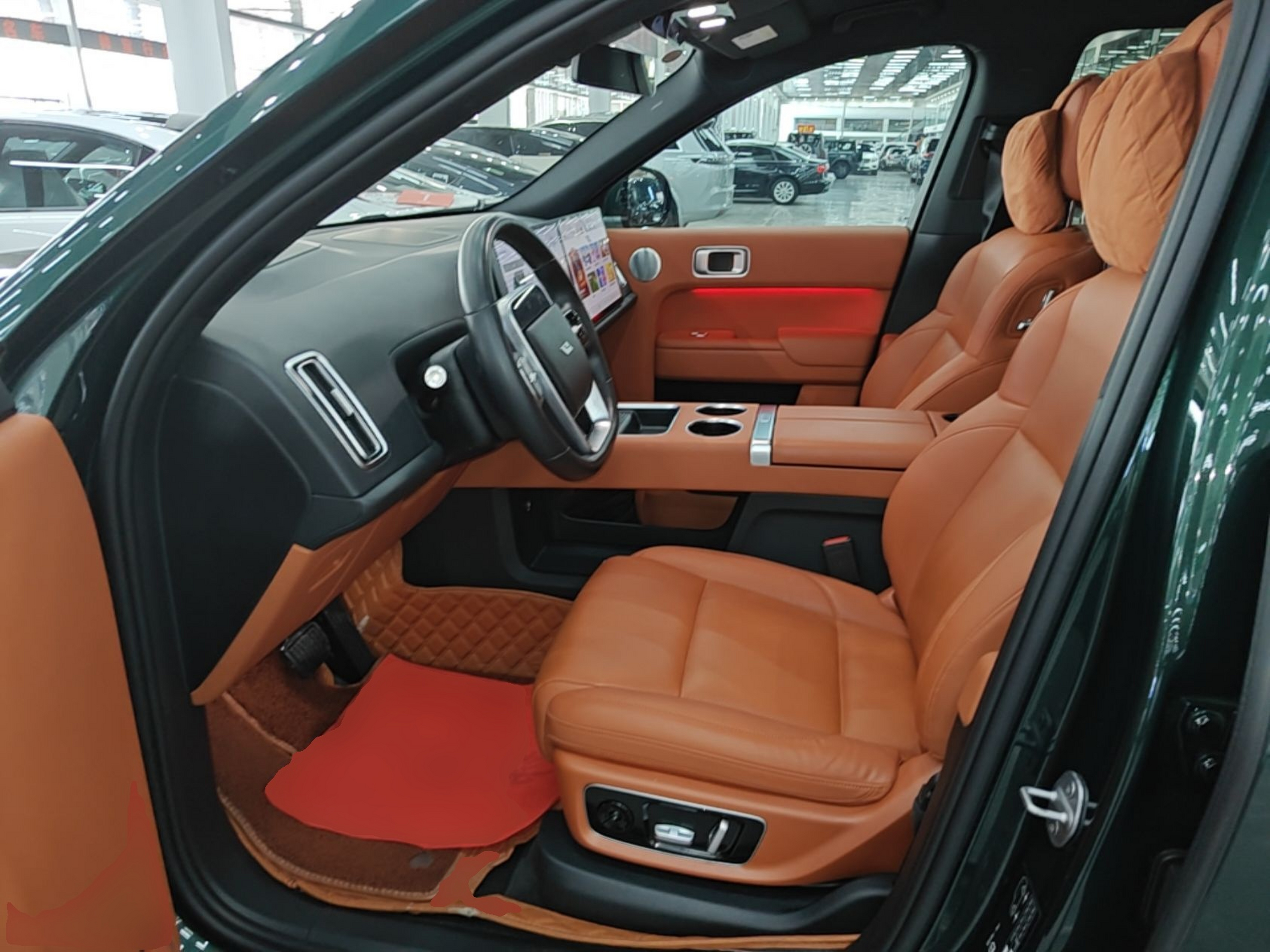 Interior delantero