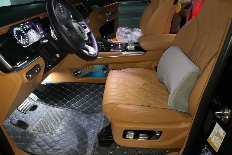 Used Tank 500 New Energy 2024 Hi4-T Left Front Seat