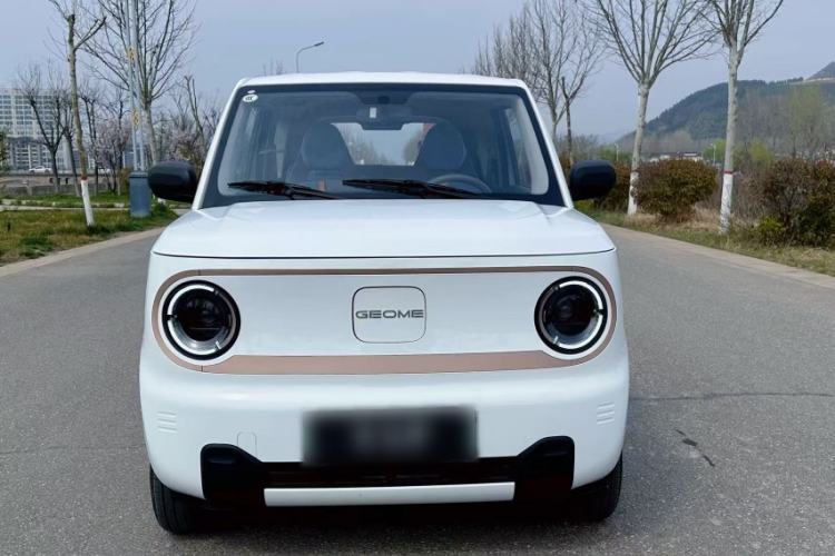 Used Geely Galaxy Panda 2024 Panda Mini 200km Endurance Bear
