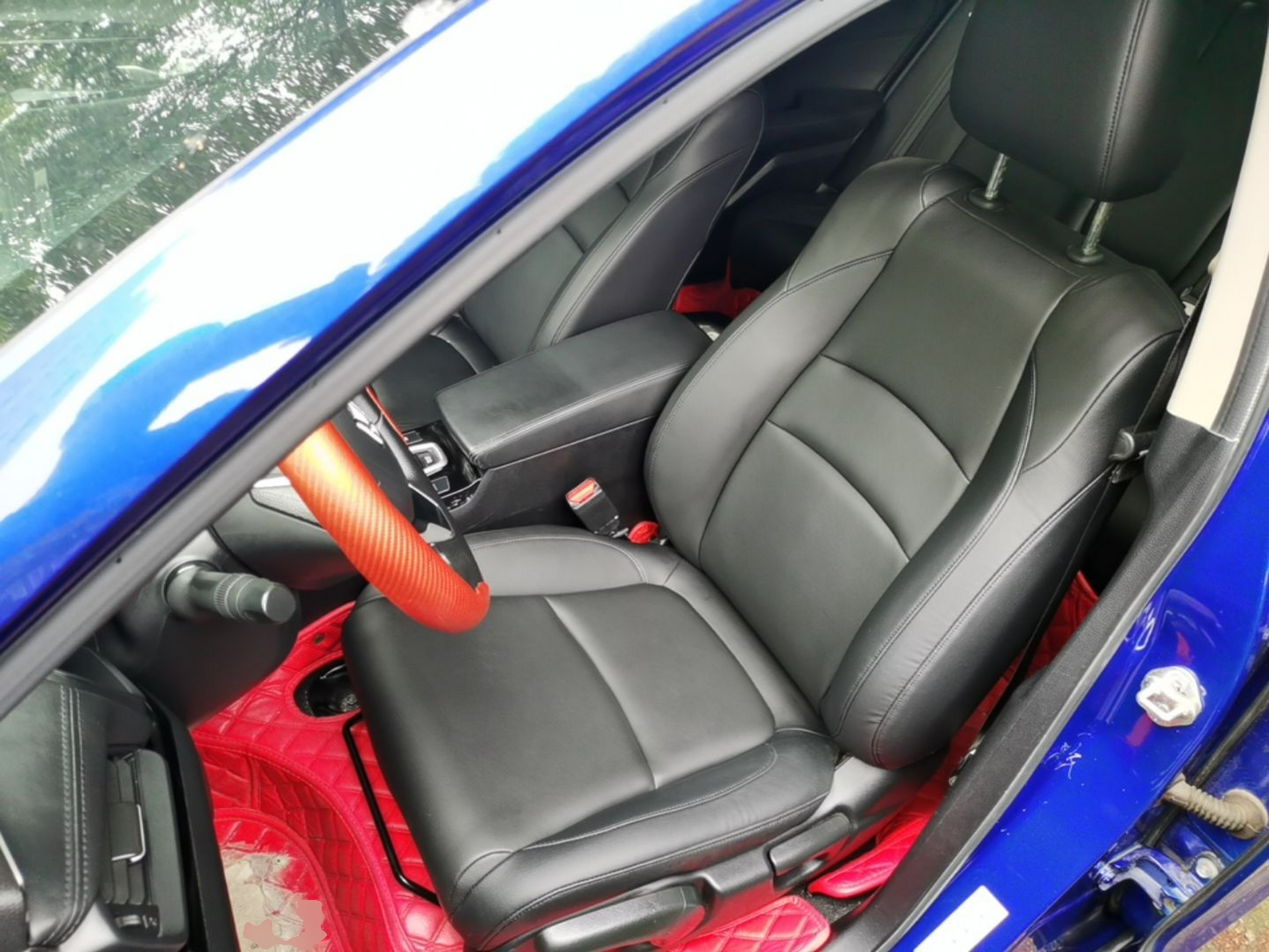Interior delantero
