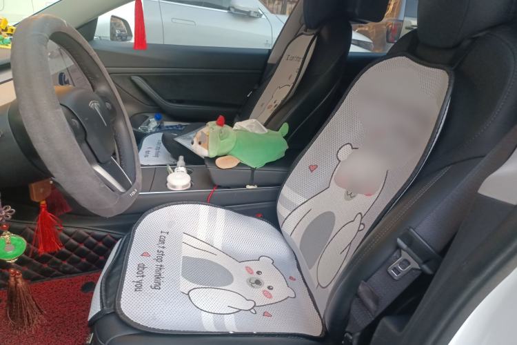 Used Tesla Model 3 2020 Revised Version Standard Range Rear-Wheel Drive – Upgraded Edition