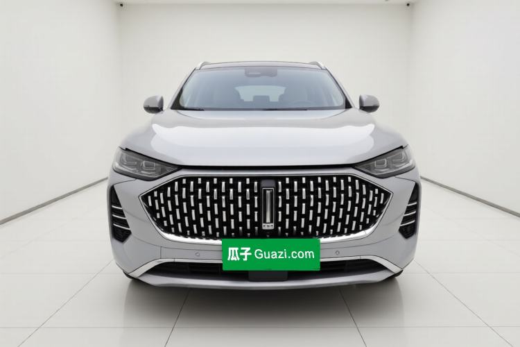 Used Wey Mocha 2021 2.0T Two-Wheel Drive Special Edition Exterior 1