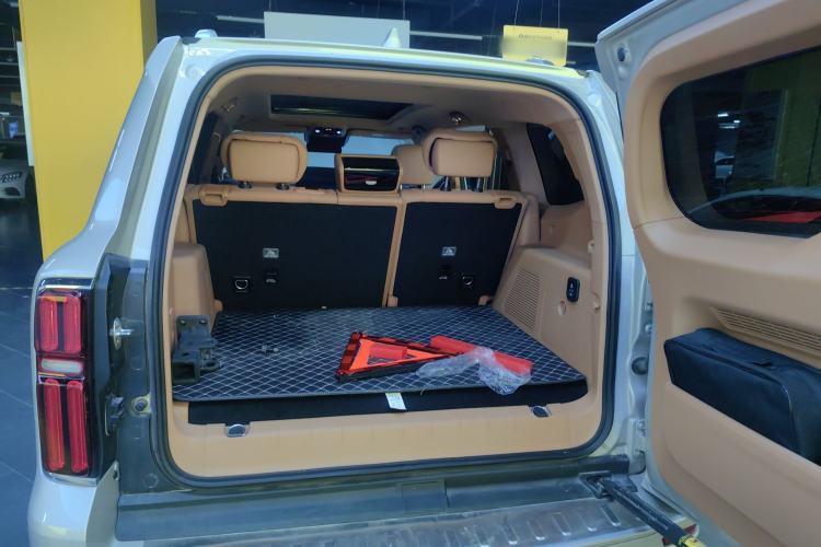 Used Tank 500 New Energy 2024 Hi4-T
