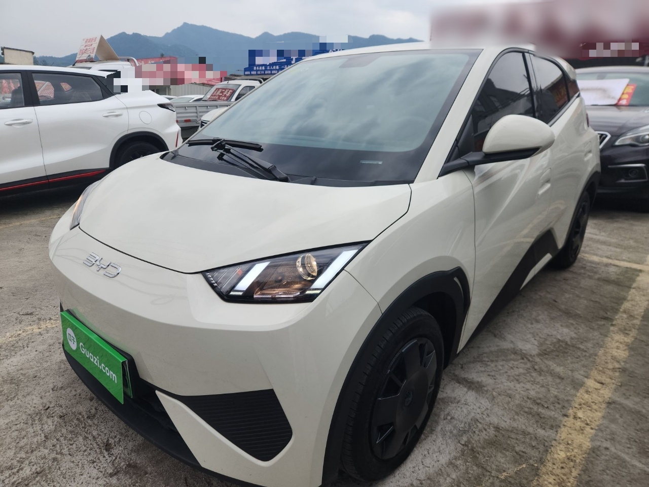 Parte inferior delantera