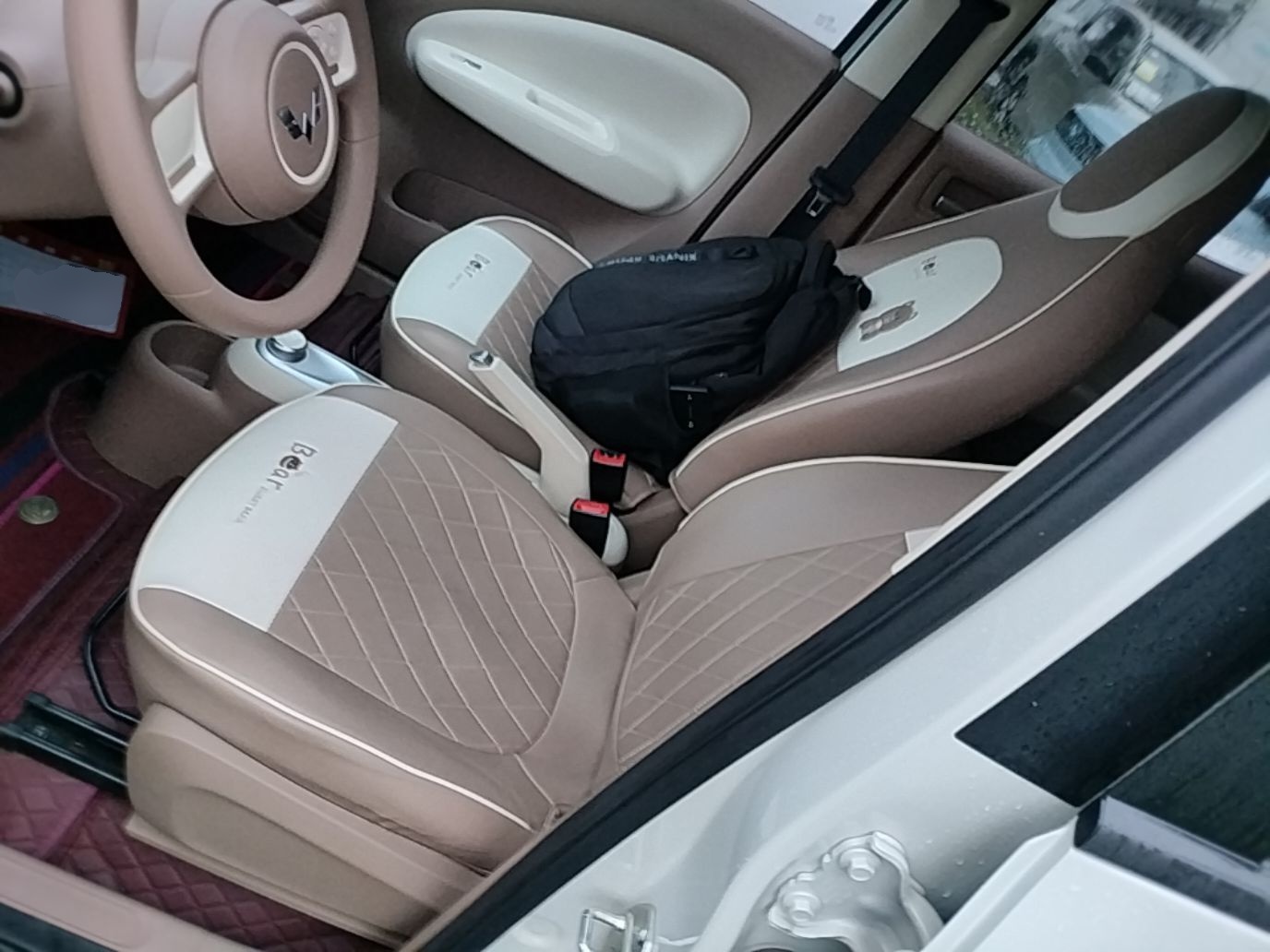 Interior delantero