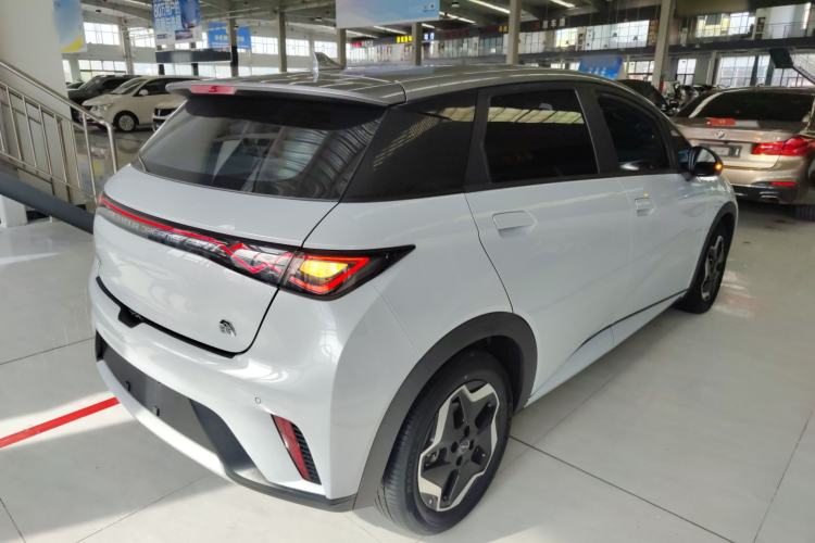 Used BYD Dolphin 2021 405 km Free Version Rear Right 45 Deg