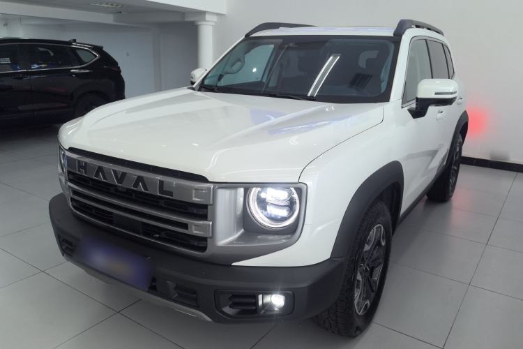 Used Haval DARGO 2024 2.0T DCT Chinese Rural Dog Edition
