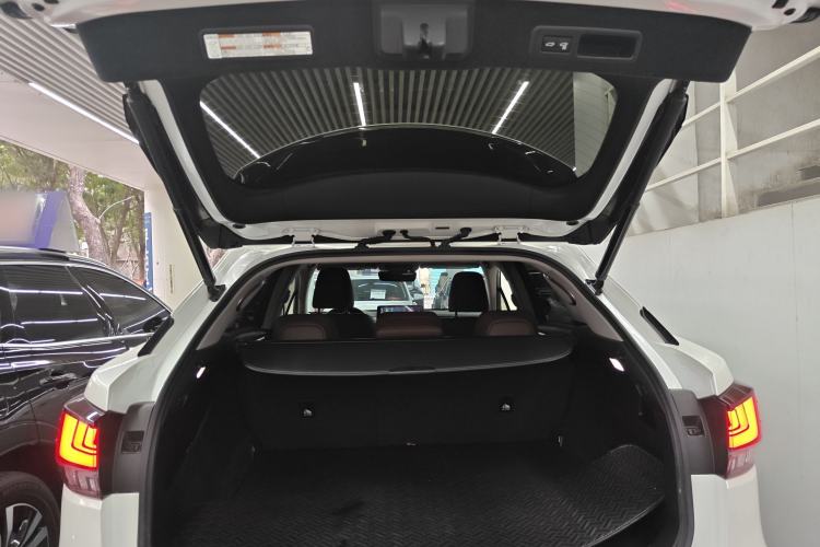 Used Lexus RX 2021 300 Four-Wheel Drive Special Edition