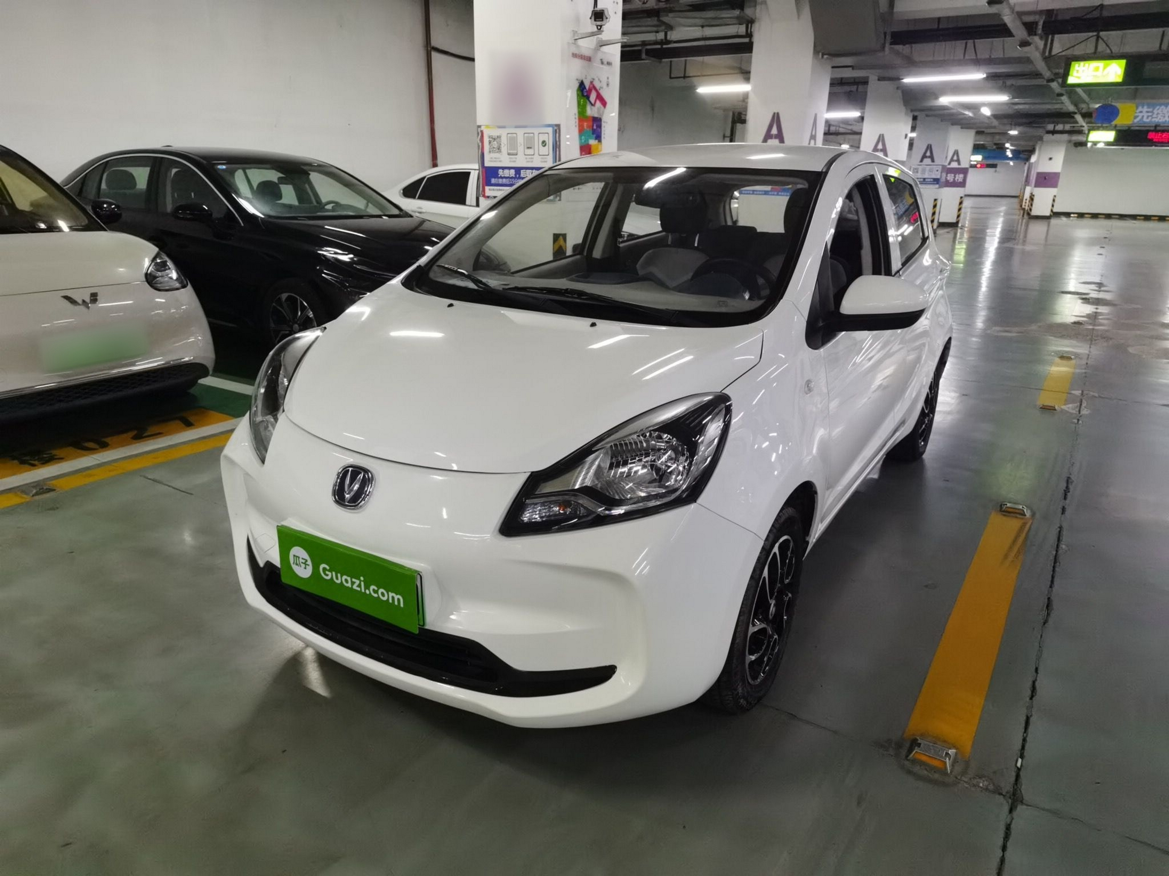 Parte inferior delantera