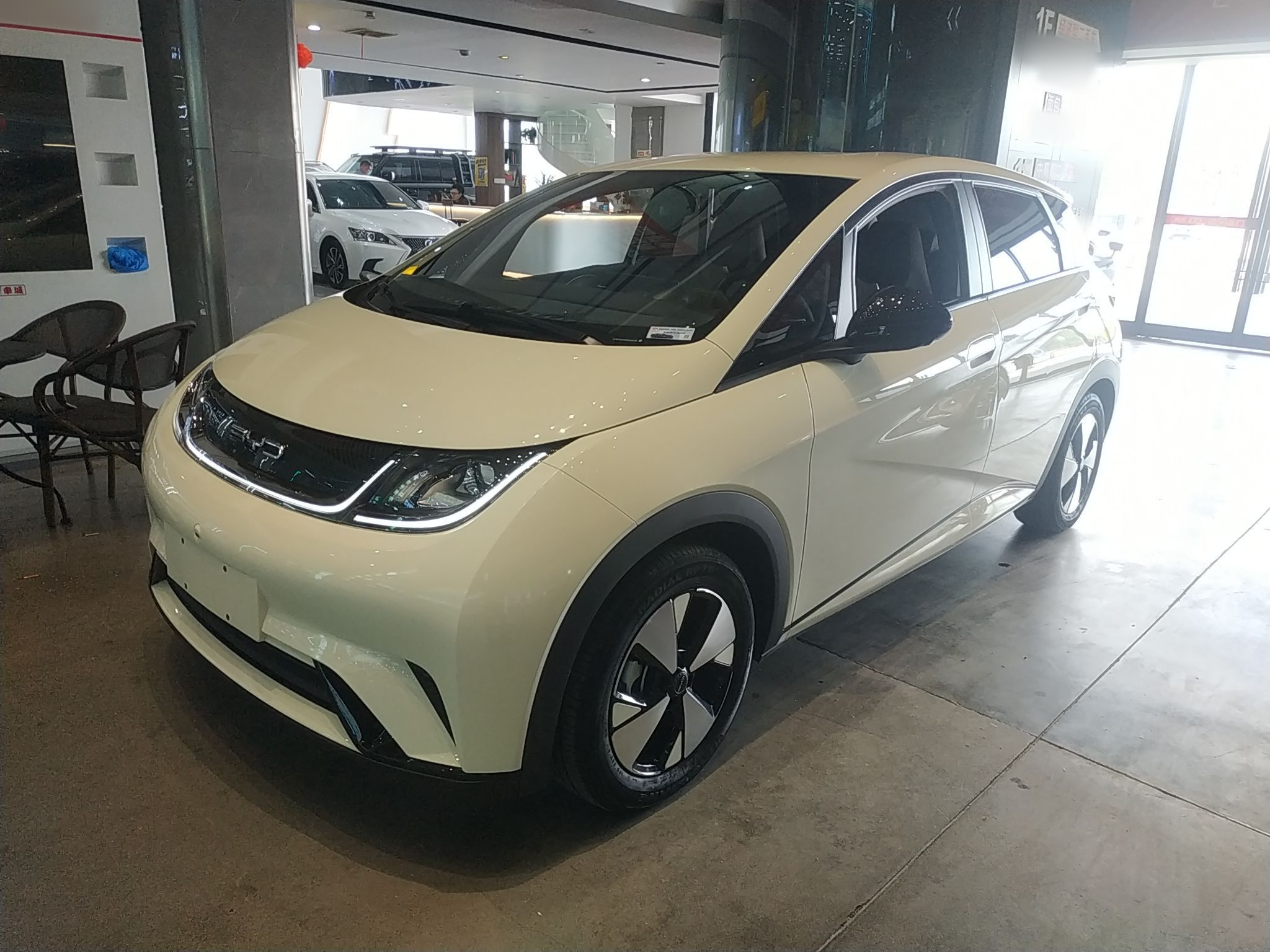 Parte inferior delantera