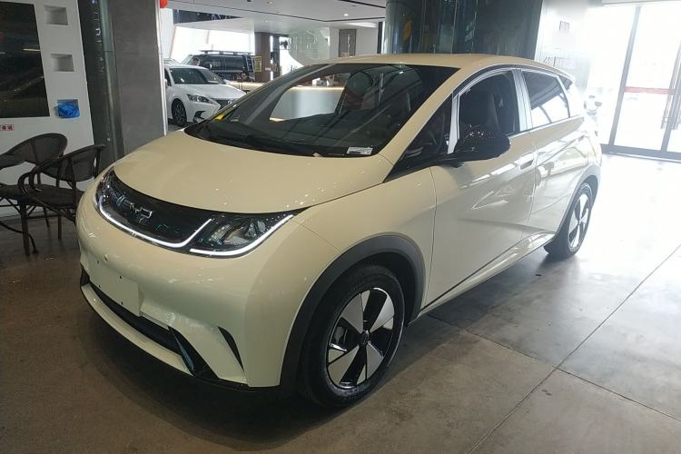 Used BYD Dolphin 2023 420 km Free Version