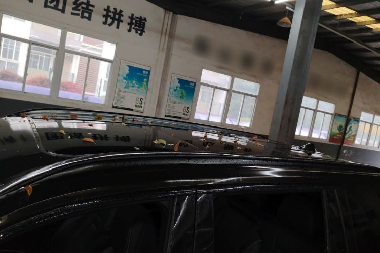 Used GAC Trumpchi GS8 2022 Linghang Series 2.0 TGDI Two-Wheel-Drive Luxury Smart Connectivity Version (7 Seats) Roof