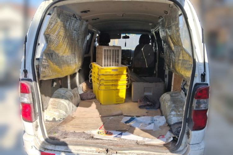 Used Jinbei Grace 2016 2.0L Express Utility Model
