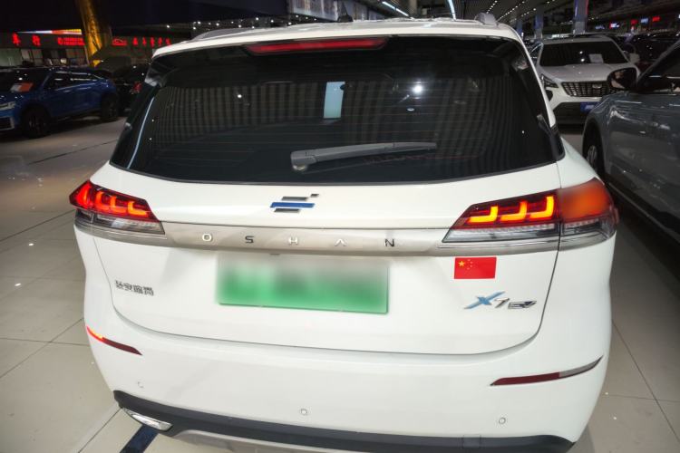 Used Oshan X7 EV 2020 Luxury Edition 405