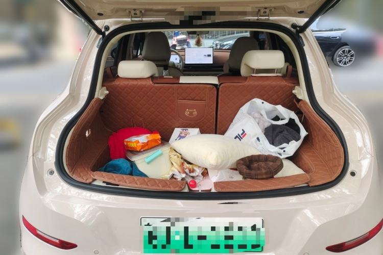 Used ORA Good Cat 2025 Model, 430 km Prestige Version
