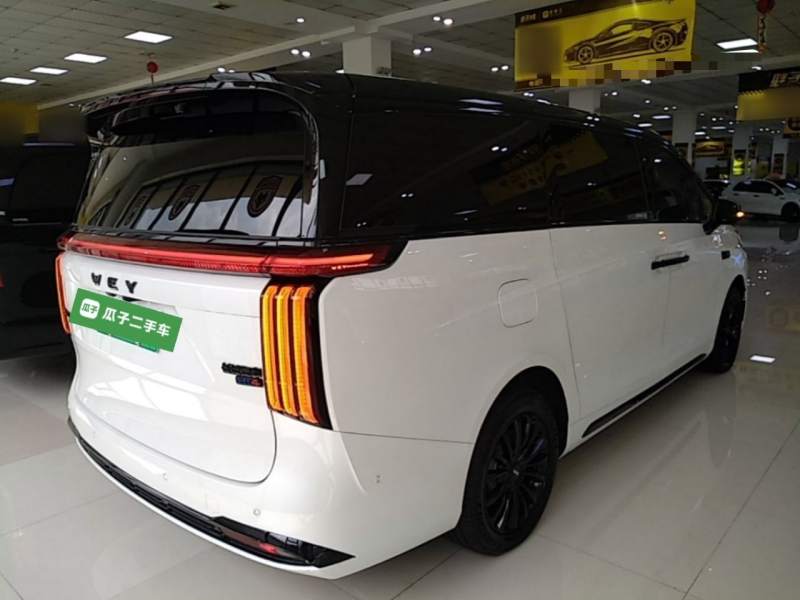 Used Wey Gaoshan 2025 Four-Wheel Drive Alpine 8 — 6