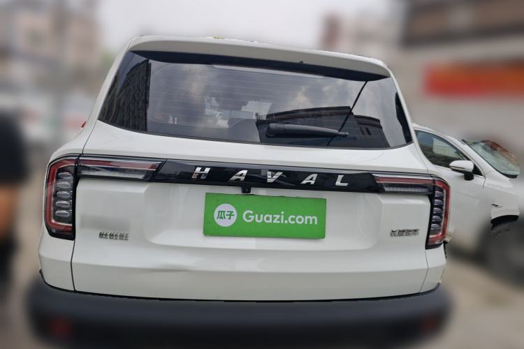 Used Haval DARGO 2022 1.5T DCT Two-Wheel Drive Labrador Edition