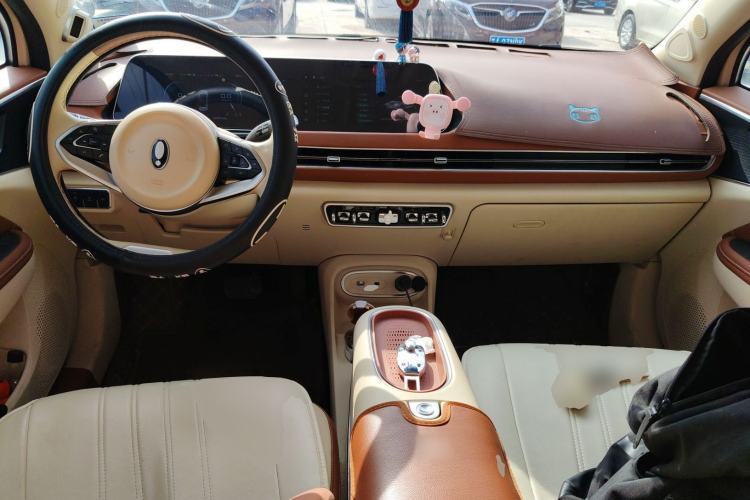 Used ORA Good Cat 2023 401 km Standard Range Premium Trim Ternary Lithium Center Console