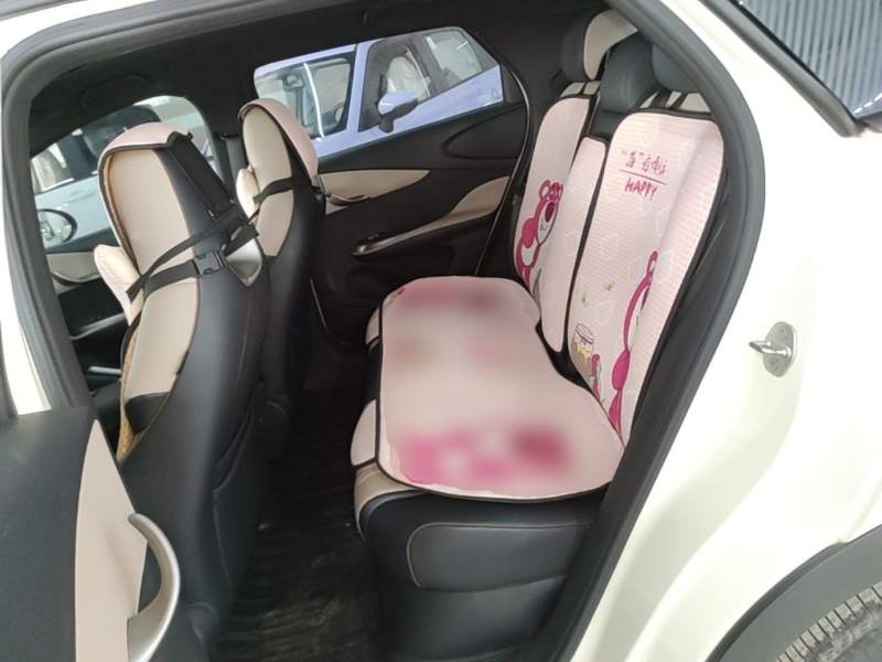 Used BYD Dolphin 2021 405 km Fashion Edition — 16