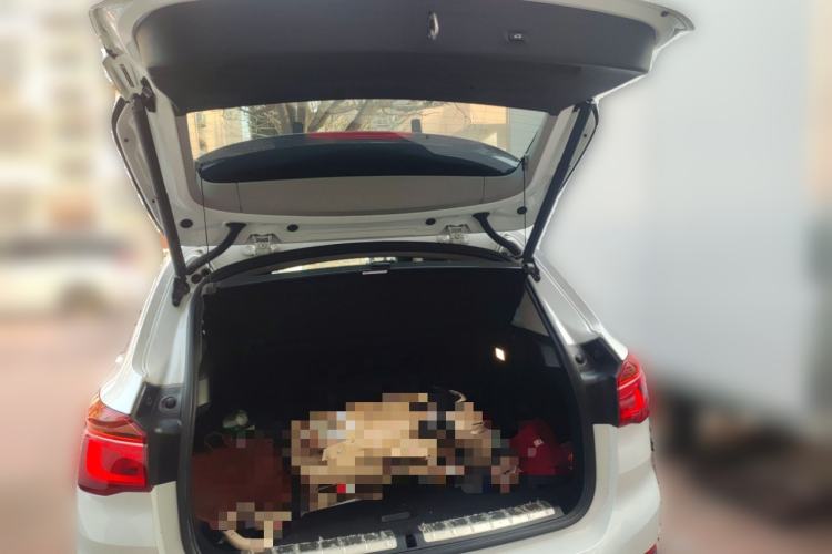 Used BMW X1 2019 sDrive18Li Fashion Model Trunk