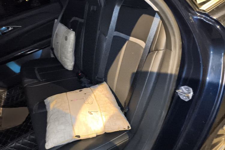 Used Ford Taurus 2017 EcoBoost 245 Luxury Model Left Rear Seat