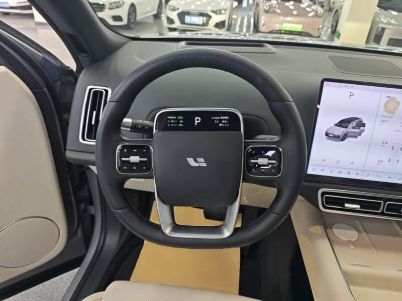 Used Li Auto L9 2022 Max model — 10