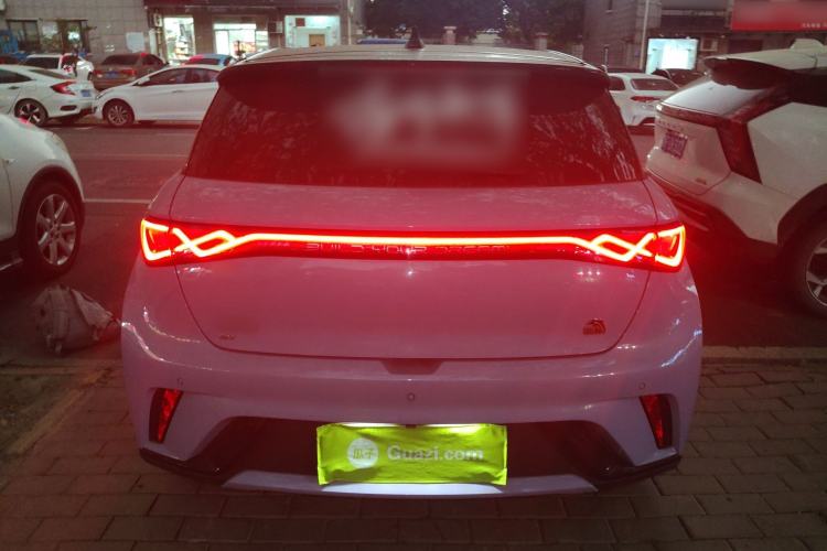 Used BYD Dolphin 2023 420 km Fashion Edition Rear