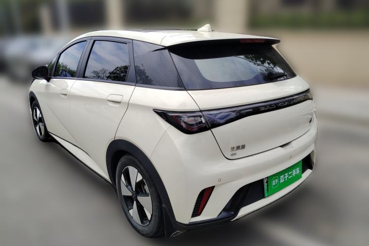 Used BYD Dolphin 2023 420 km Fashion Edition