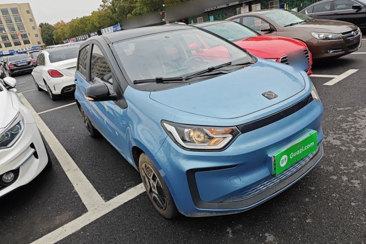 Used SOL E10X 2022 Flower Fairy Design Four-Leaf Clover