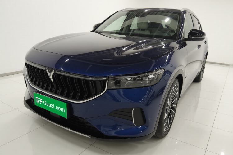 Used VOYAH FREE 2021 Four-Wheel Drive Standard Range-Extended Exclusive Luxury Package
