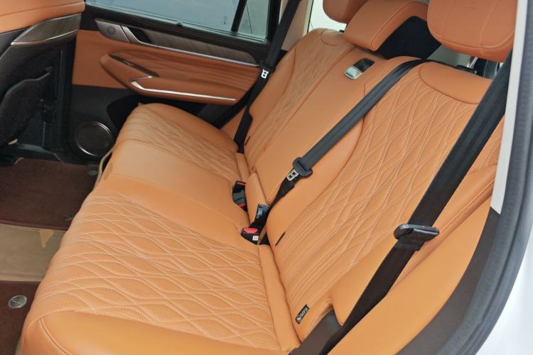 Used Tank 500 New Energy 2024 Hi4-T Left Rear Seat