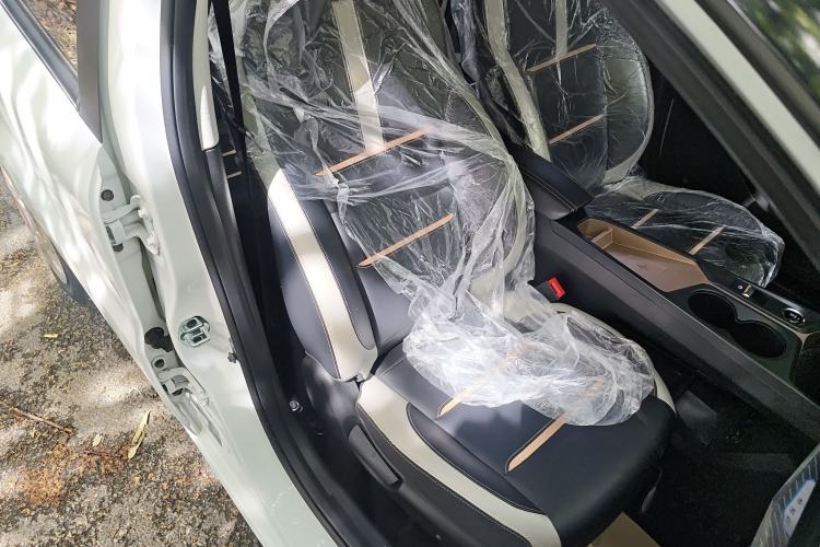 Used SOL E10X 2022 Flower Fairy Design Dandelion
